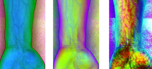 基于高光譜成像技術(shù)的靜脈識別測試試驗